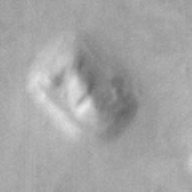 face